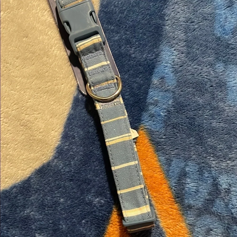 Blue Dog Collar